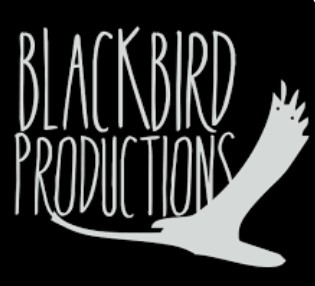 blackbird Best Video Editing Companies in Singapore